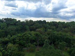 Normanton Park (D5), Apartment #457346661